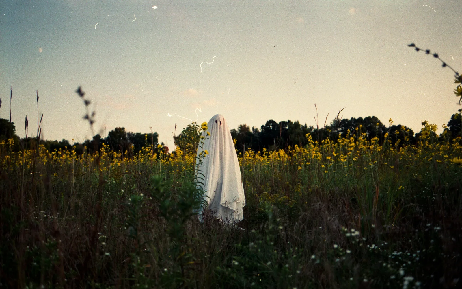 Why Website Loading Speed Matters for Singapore Businesses hero image