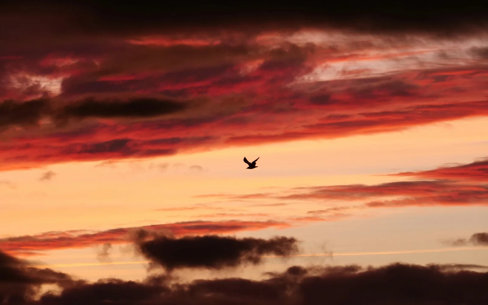 Landing Page vs Full Website: Which Does Your Singapore Business Need? hero image