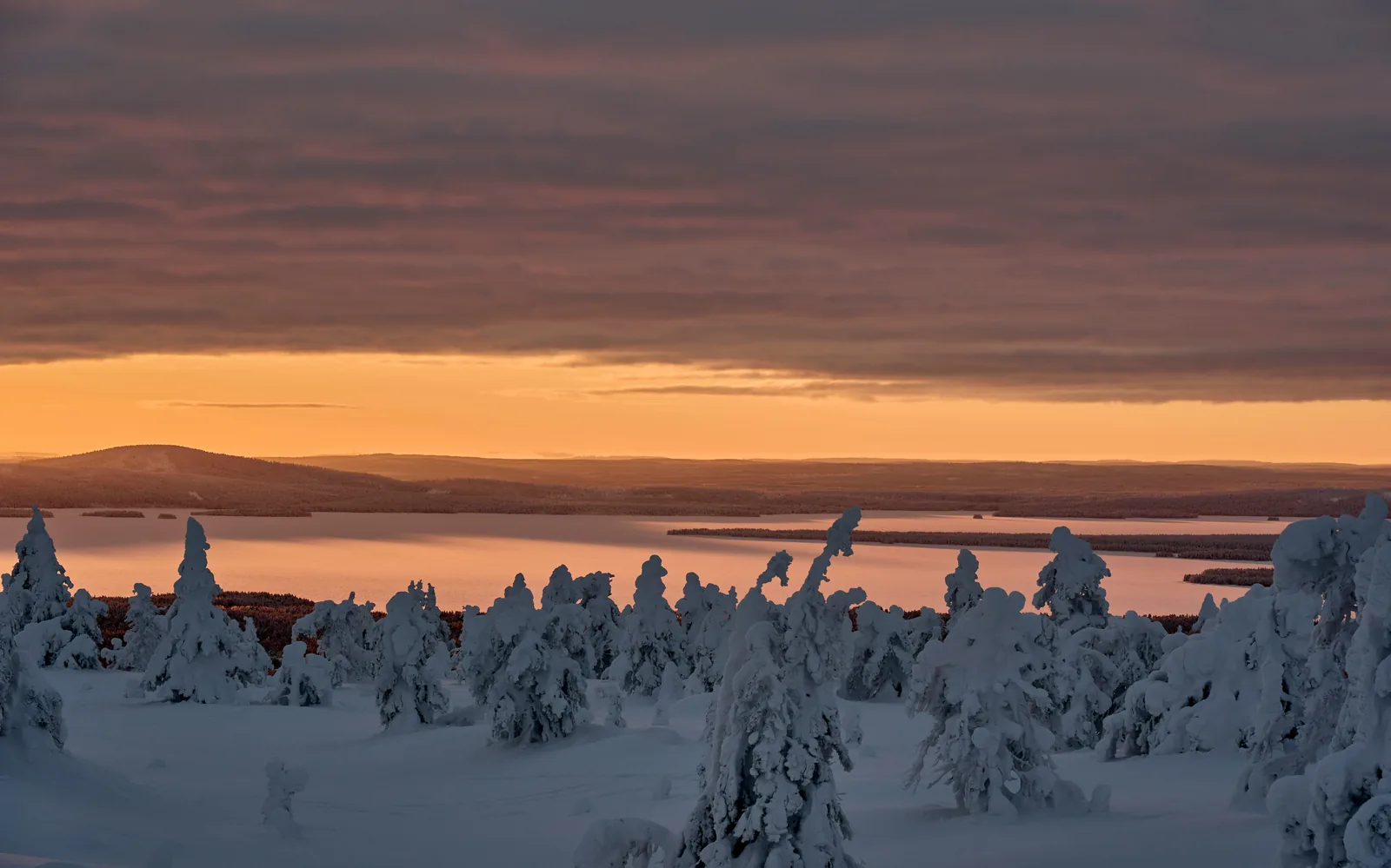 How to Write an About Page That Actually Wins Clients hero image